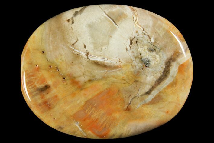 Polished Petrified Wood Flat Pocket Stones - Photo 1